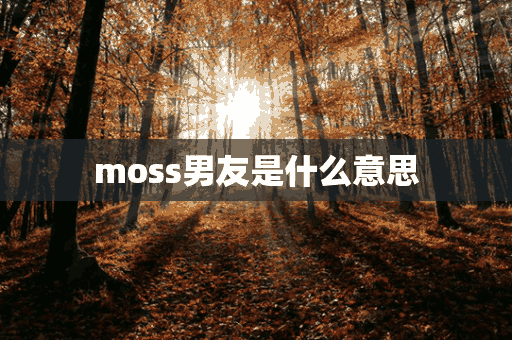 moss男友是什么意思